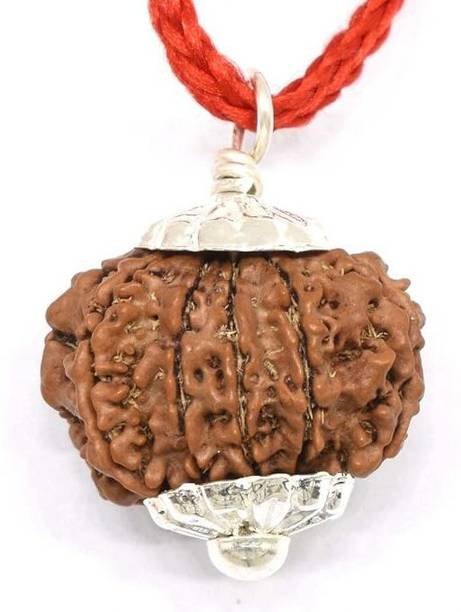 Artificial 14 Mukhi Original Rudraksha